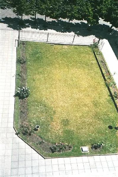 jardin central